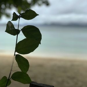 Meet your Posher, Meijin